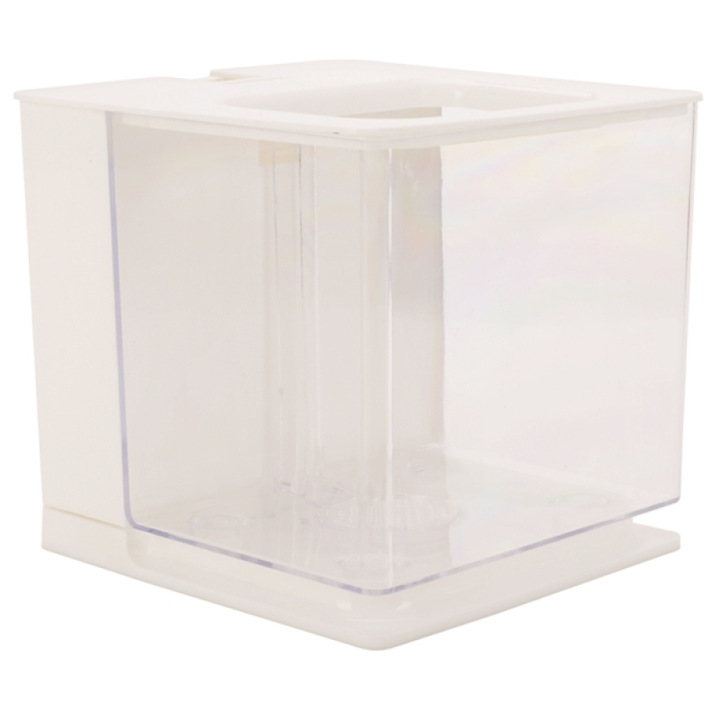 Plastic betta tank white